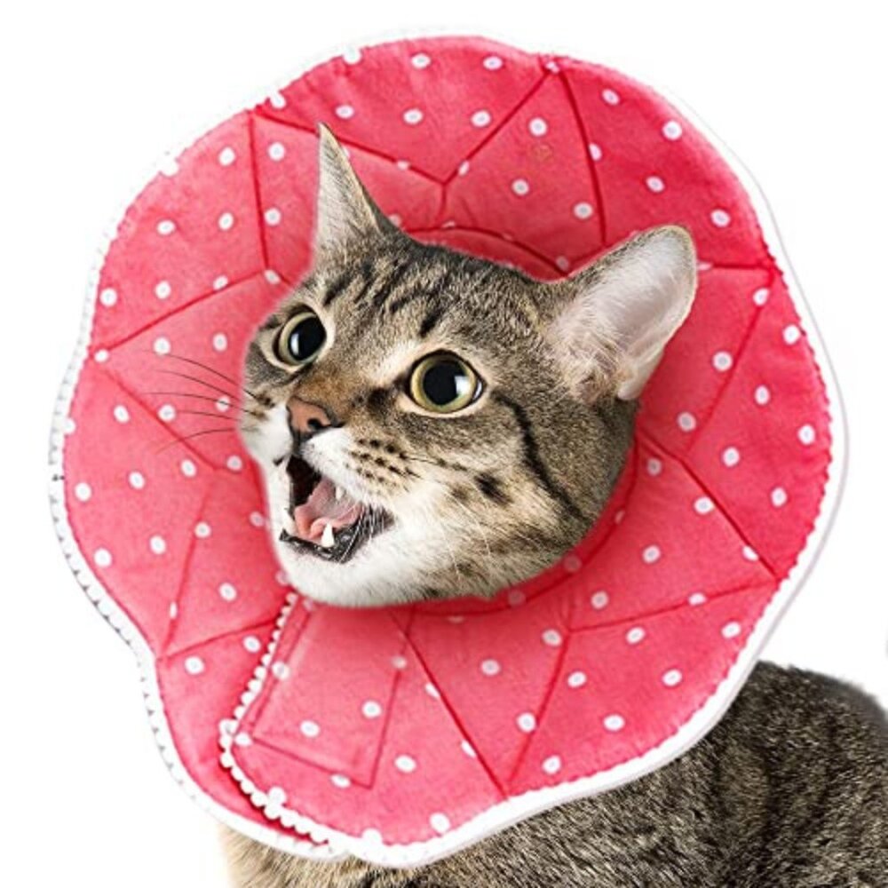 SunGrow Polka Dot Pet Soft Adjustable Recovery Cone | NWT | S | Pink White